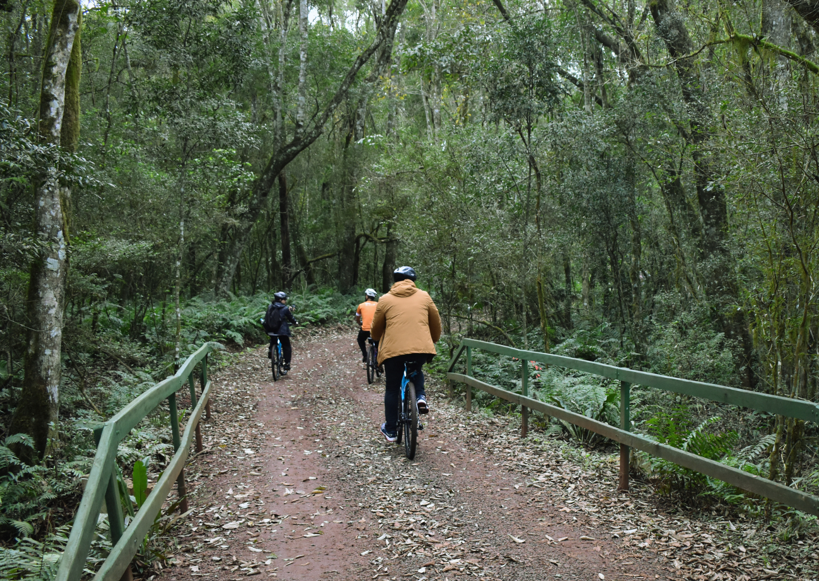 Bike Poço Preto - Passeio de bicicleta nas Cataratas