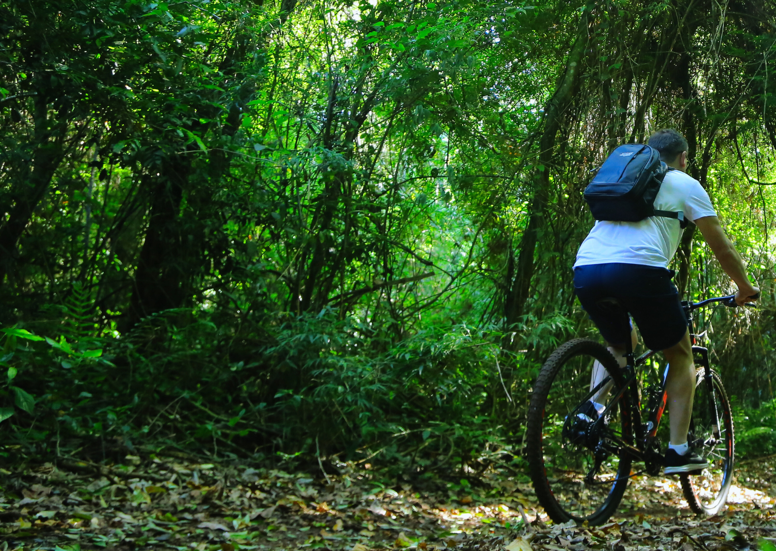 Bike Poço Preto - Passeio de bicicleta nas Cataratas